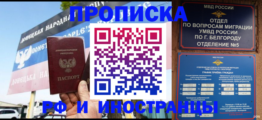 временная регистрация 2025 в Димитровграде